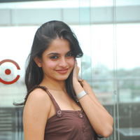 Actress Sheena Shahabadi latest Photos | Picture 46641